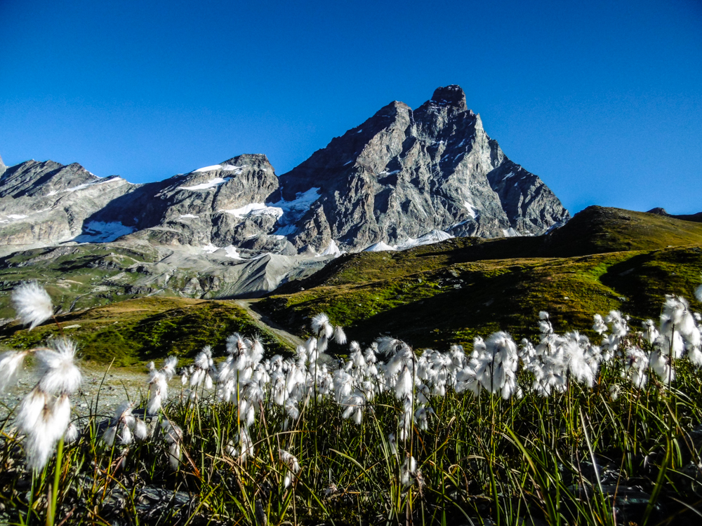 salita al monte cervino - inmont